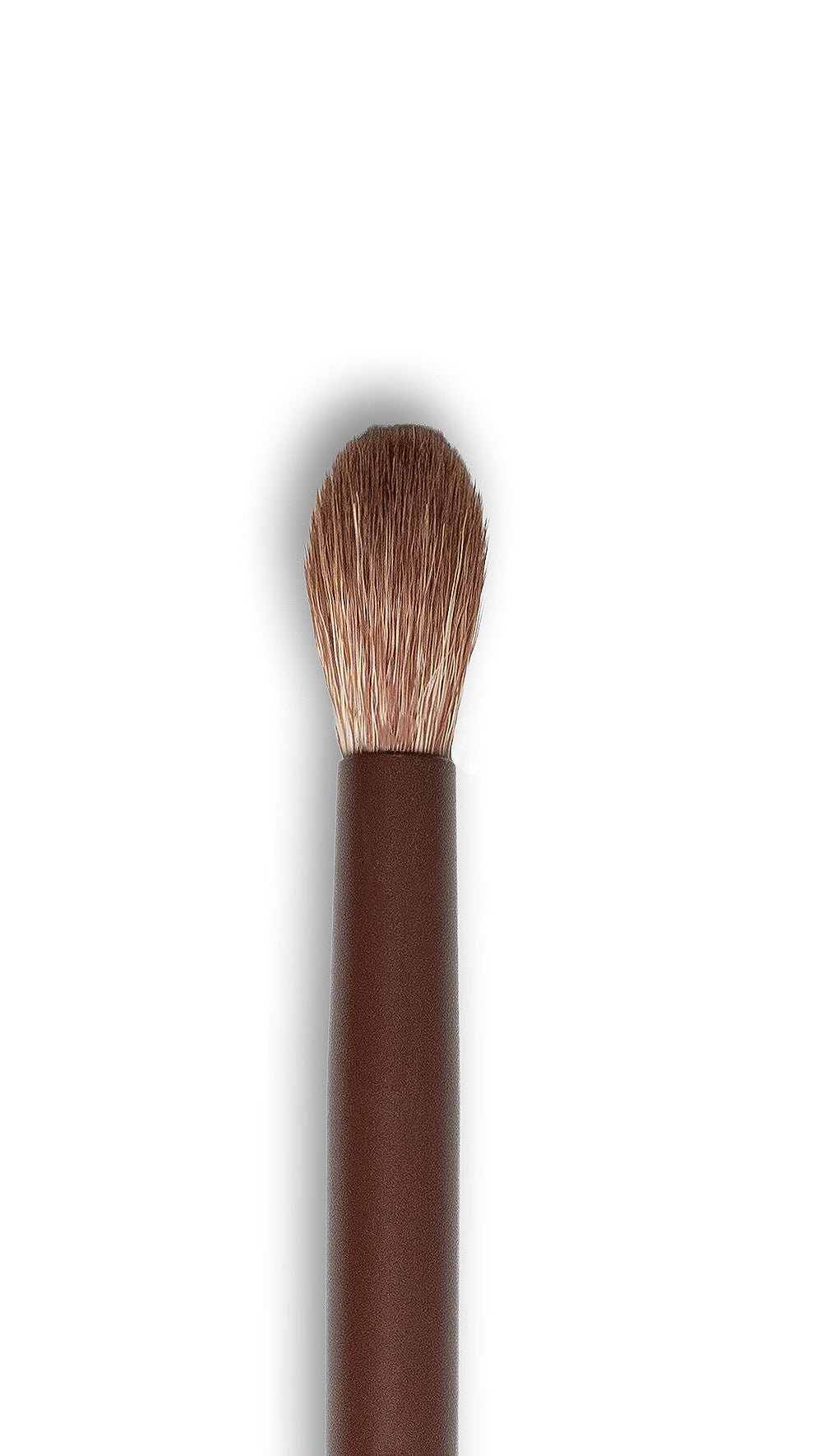 BLINDING BRUSH BIG & BABY BB 8