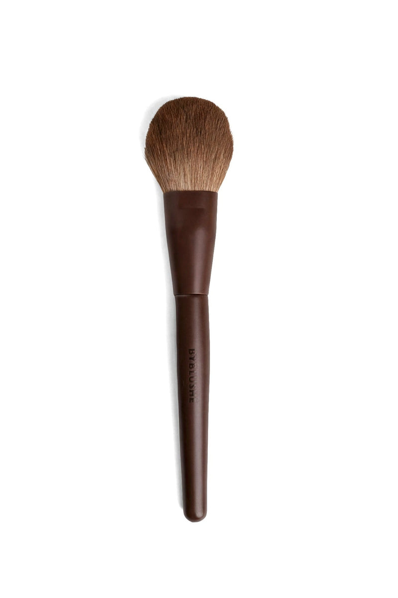 POWDER BRUSH DUST & DEFINE DD 6